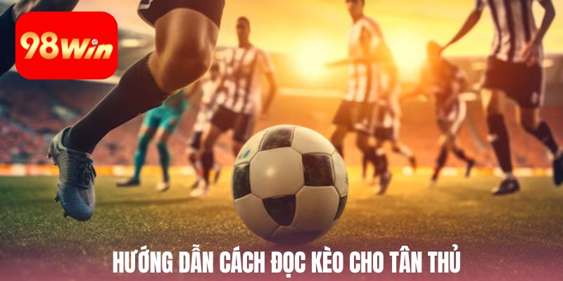 Hướng dẫn cách đọc kèo cho tân thủ