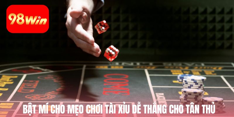 Bật mí cho mẹo chơi tài xỉu dễ thắng cho tân thủ